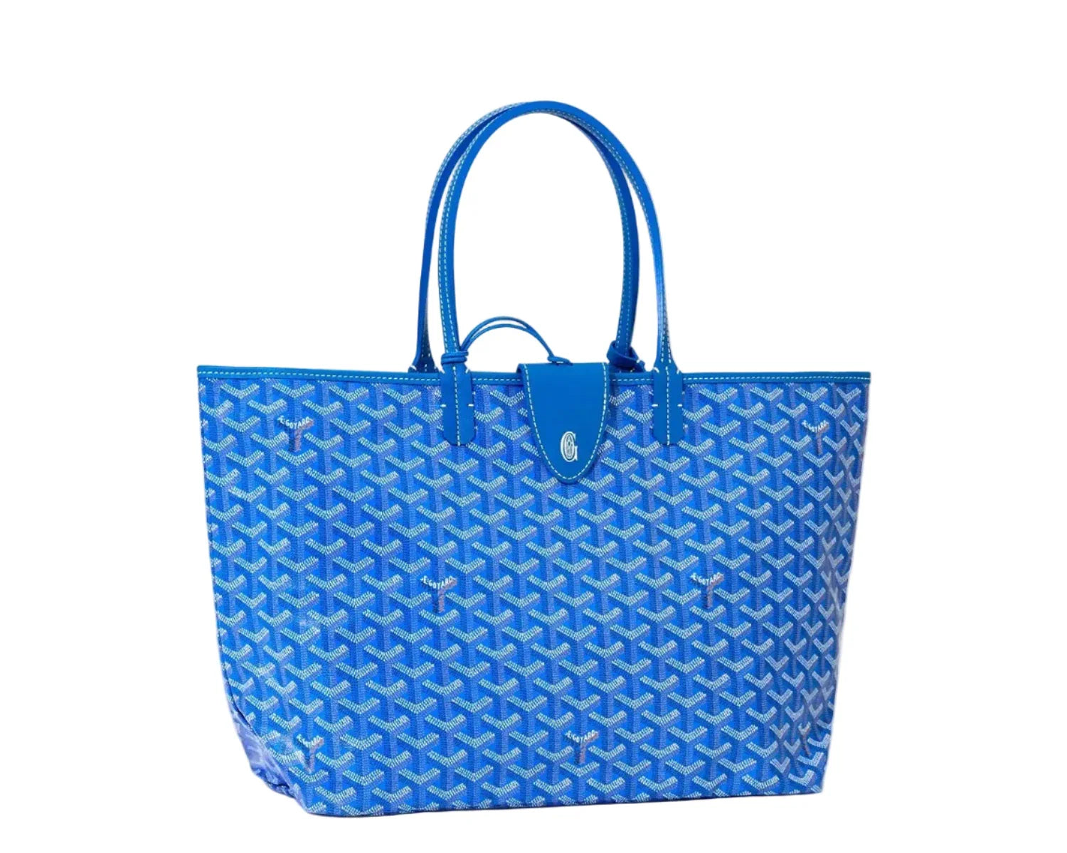Goyard Saint Louis Tote PM Green Sky Blue